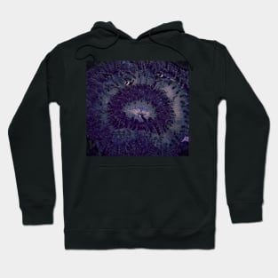 CLOWNING AROUND IN A PURPLE ANEMONE Hoodie